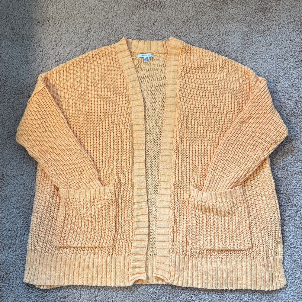 American Eagle Cardigan